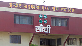 इंदौर दुग्ध संघ बनाएगा 3 गुना अधिक मिल्क पाउडर