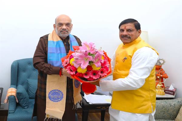 गृह मंत्री अमित शाह से प्रदेश में साइबर तहसील व्यवस्था लोकर्पित करने का अनुरोध