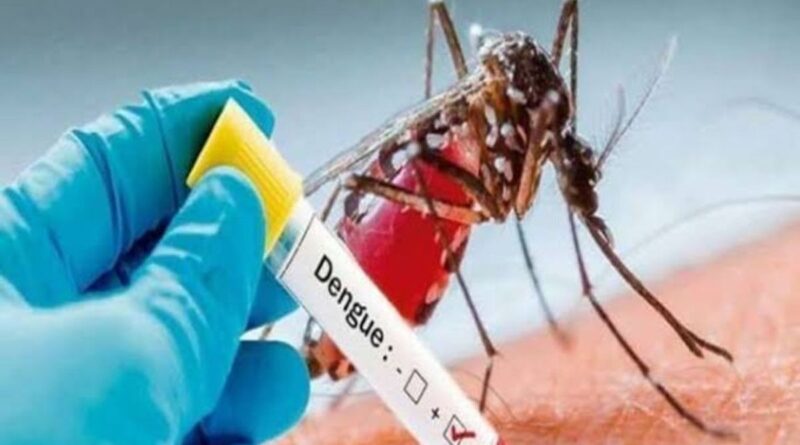 भारत सबसे अधिक डेंगू के मामलों वाले शीर्ष 20 देशों में शामिल