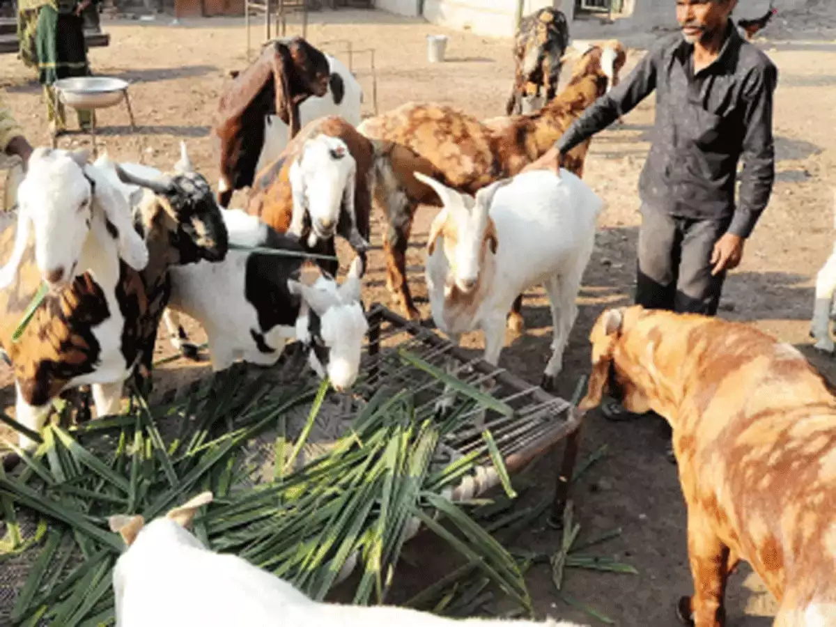 प्रदेश के नगरीय क्षेत्रों में 22 जनवरी को बंद रहेंगे पशुवध गृह