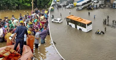 गुजरात में भारी बारिश, डीप डिप्रेशन का प्रभाव देखते हुए मौसम विभाग ने दी चेतावनी
