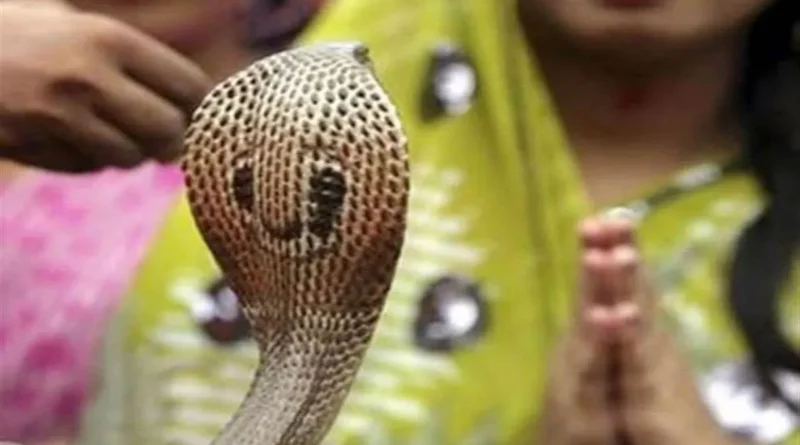 अमृत, सिद्धि साध्य योग और हस्त नक्षत्र के संयोग में नागपंचमी