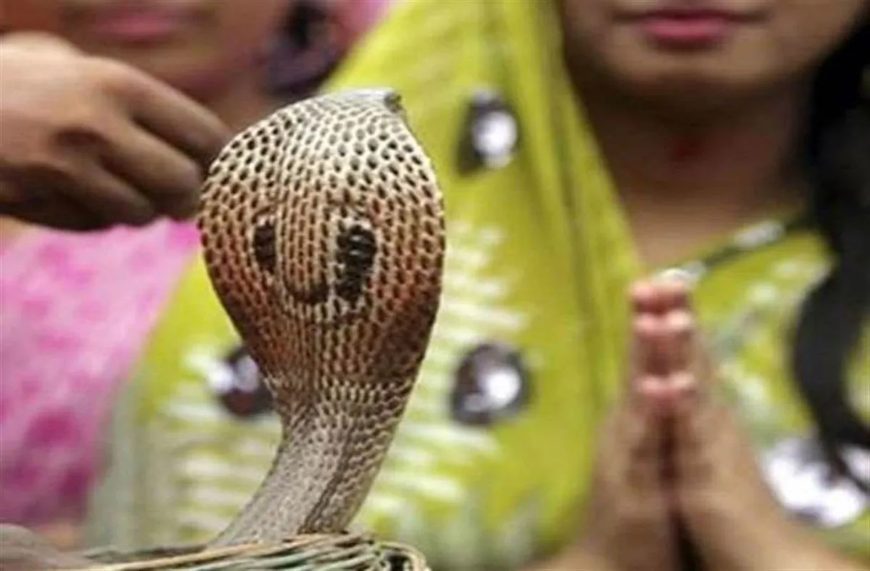 अमृत, सिद्धि साध्य योग और हस्त नक्षत्र के संयोग में नागपंचमी