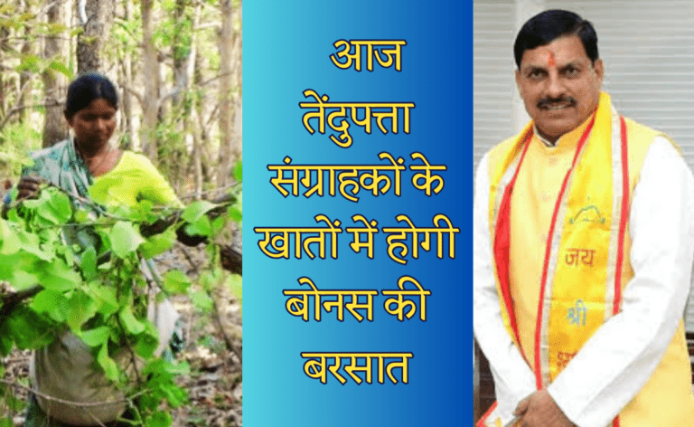 मुख्यमंत्री डॉ. यादव कराहल से करेंगे 36 लाख तेंदूपत्ता संग्राहकों को 115 करोड़ बोनस राशि का वितरण