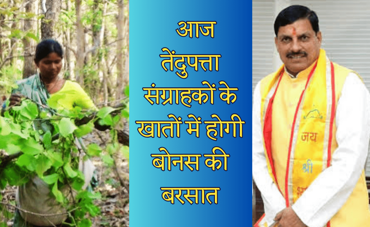 मुख्यमंत्री डॉ. यादव कराहल से करेंगे 36 लाख तेंदूपत्ता संग्राहकों को 115 करोड़ बोनस राशि का वितरण