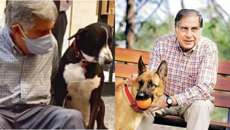 बेजुबान जानवरों के लिए मसीहा थे रतन टाटा - श्रमण डॉ पुष्पेन्द्र