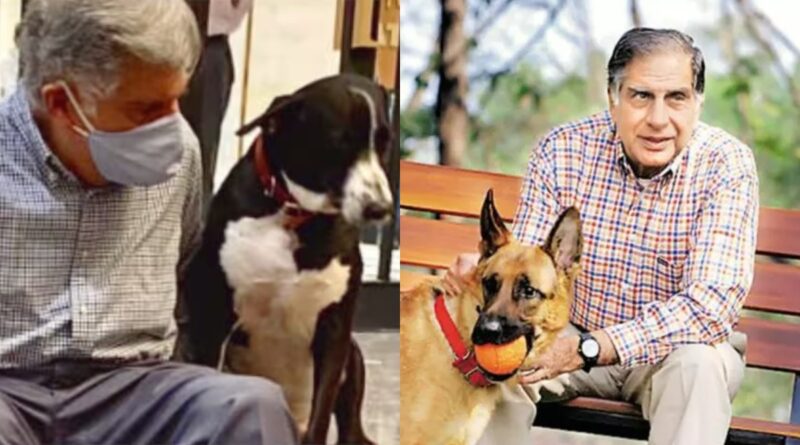 बेजुबान जानवरों के लिए मसीहा थे रतन टाटा - श्रमण डॉ पुष्पेन्द्र