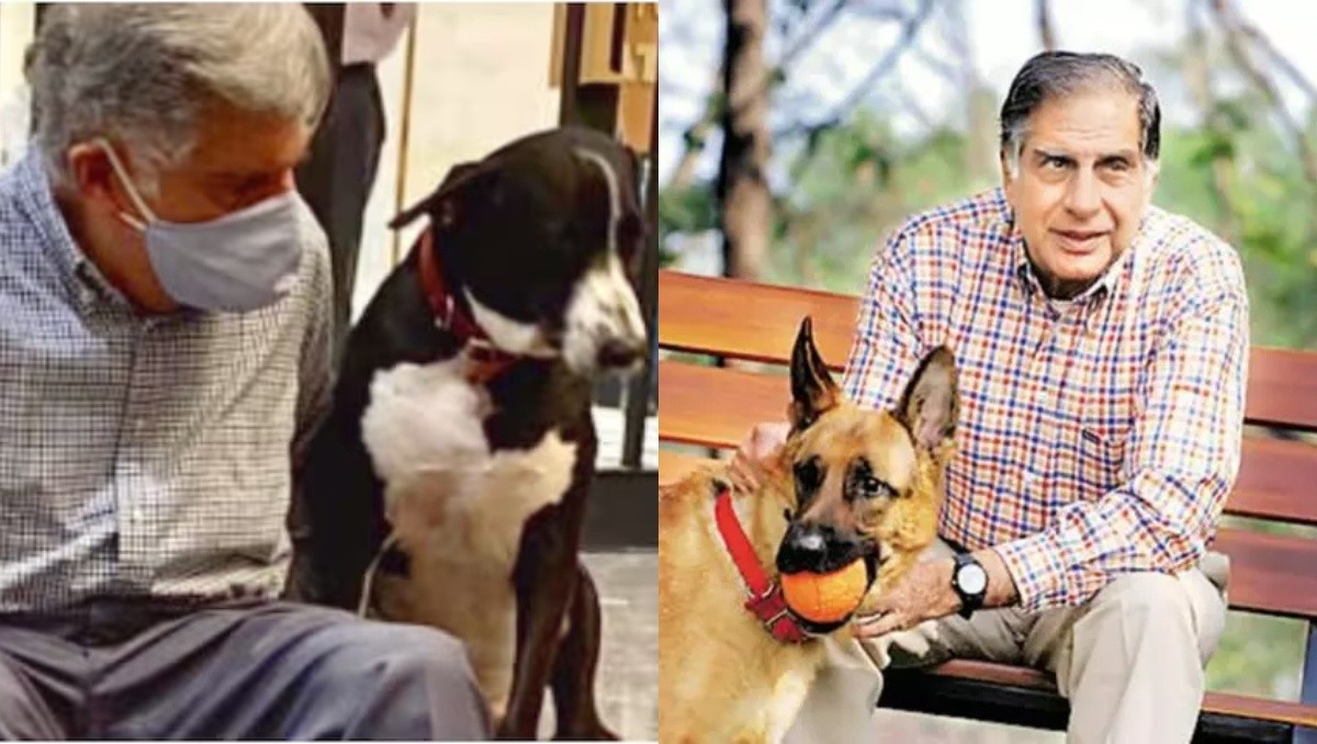 बेजुबान जानवरों के लिए मसीहा थे रतन टाटा - श्रमण डॉ पुष्पेन्द्र