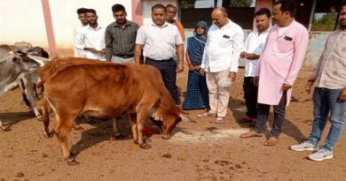 विधायक धीरेन्द्र बहादुर सिंह की मौजूदगी में धूमधाम से हुई गोवर्धन पूजा