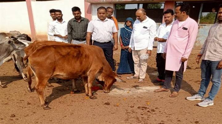 विधायक धीरेन्द्र बहादुर सिंह की मौजूदगी में धूमधाम से हुई गोवर्धन पूजा