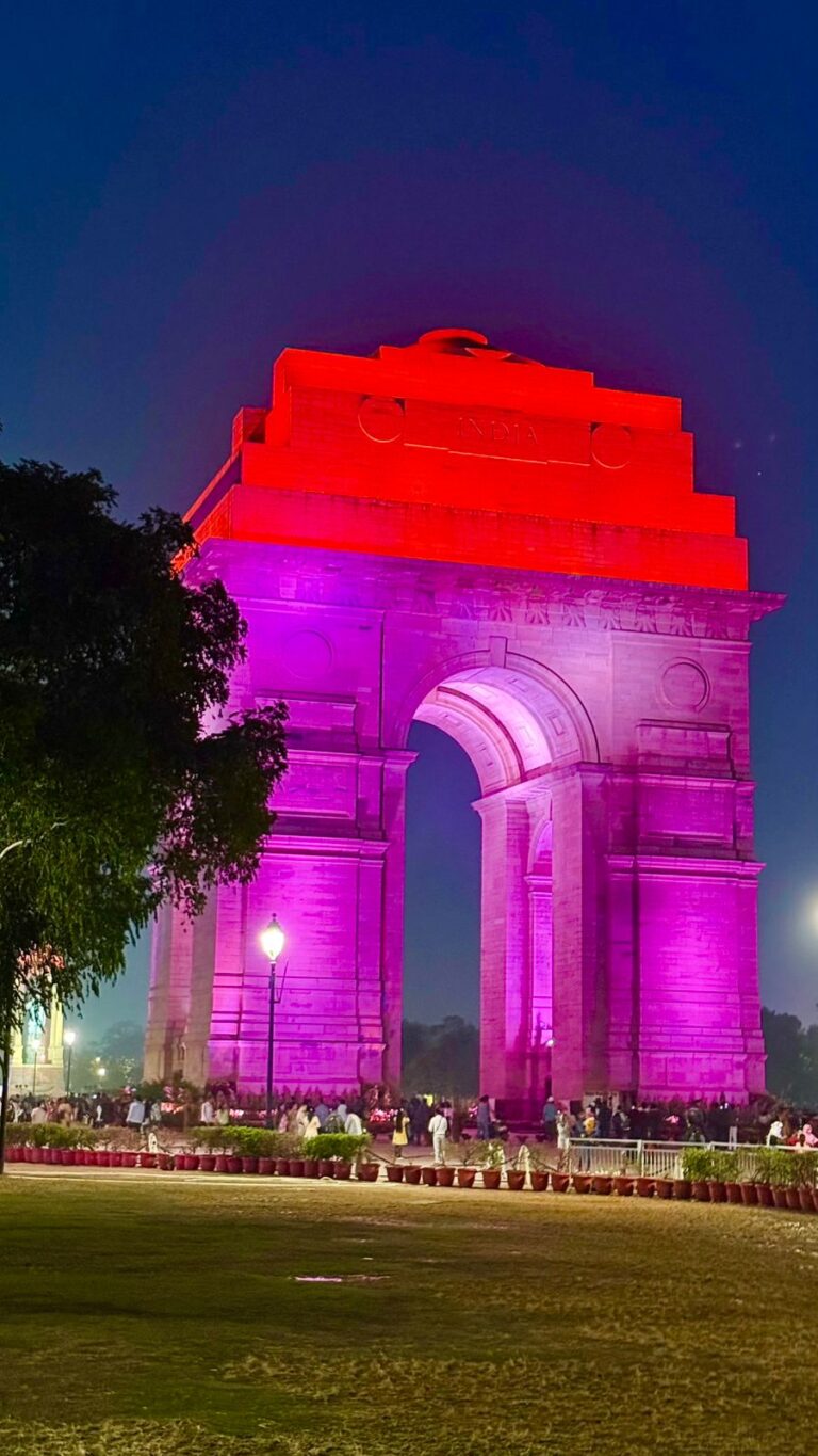 विश्व एनटीडी दिवस के उपलक्ष्य में चलाया गया रोशनी अभियान, दिल्ली में इंडिया गेट को बैंगनी और गुलाबी रंग की चमकीली रोशनी से जगमगाया गया