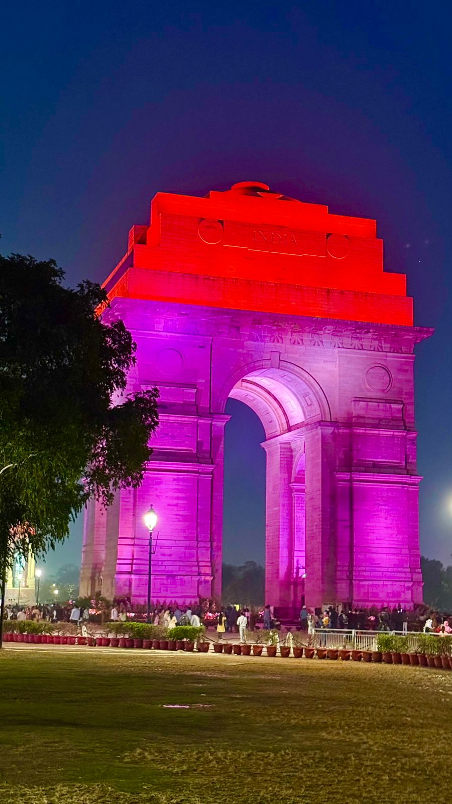 विश्व एनटीडी दिवस के उपलक्ष्य में चलाया गया रोशनी अभियान, दिल्ली में इंडिया गेट को बैंगनी और गुलाबी रंग की चमकीली रोशनी से जगमगाया गया