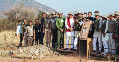 The Cheetah is Sprinting on the Sacred Land of Madhya Pradesh: CM Dr. Yadav