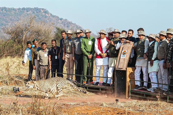 The Cheetah is Sprinting on the Sacred Land of Madhya Pradesh: CM Dr. Yadav