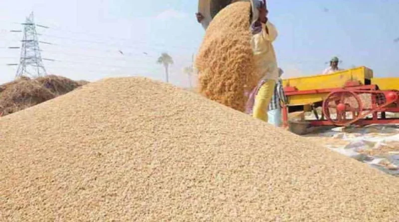 गेहूँ उपार्जन के लिये 31 मार्च तक होगा पंजीयन
