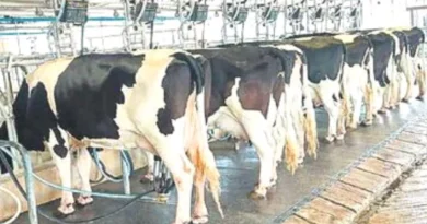 दुग्ध उत्पादन से किसानों की समृद्धि के खुलेंगे नये द्वार