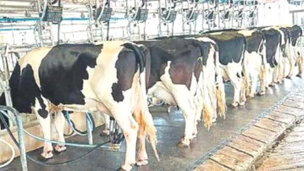 दुग्ध उत्पादन से किसानों की समृद्धि के खुलेंगे नये द्वार