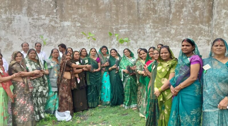 विशाल वृक्षारोपण कार्यक्रम संपन्न,24 तीर्थ क्षेत्रों पर, 1008 वृक्षारोपण विशाल वृक्षारोपण कार्यक्रम संपन्न,24 तीर्थ क्षेत्रों पर, 1008 वृक्षारोपण