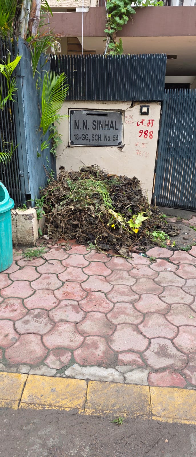 Garbage cleared, perceptions changed too: Municipal team in Indore arrived to collect trash within two and a half hours of the complaint.